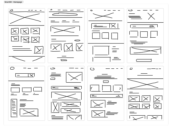 Illustration of seashells