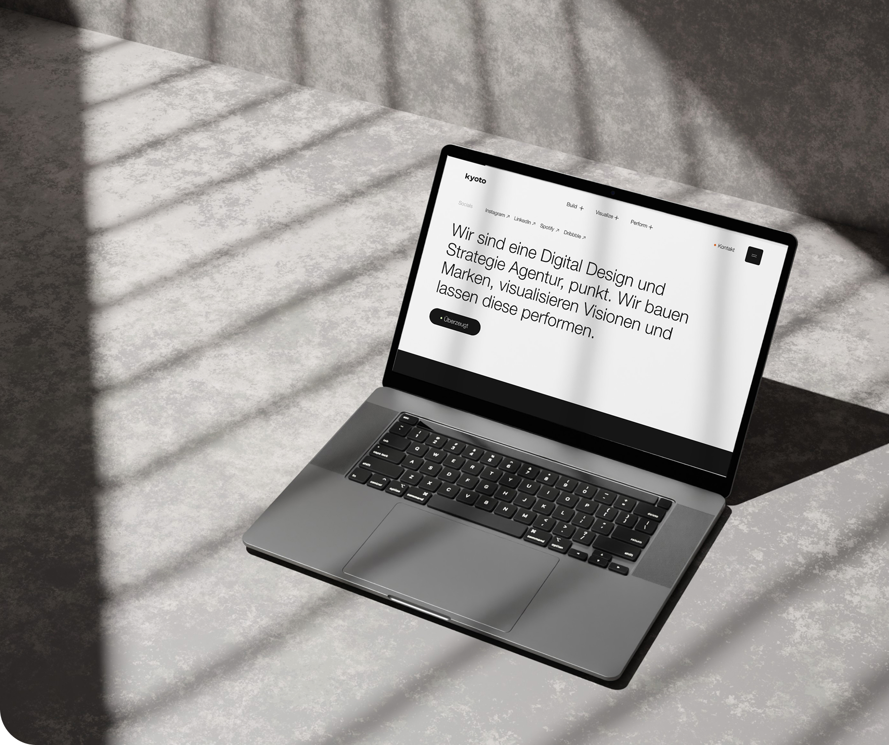 Illustration of seashells